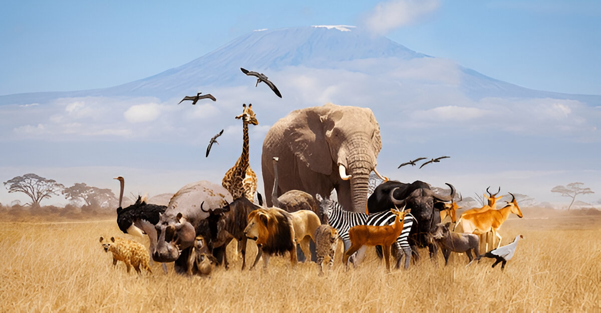 Explore Kenya in 2025 International and Domestic Tours
