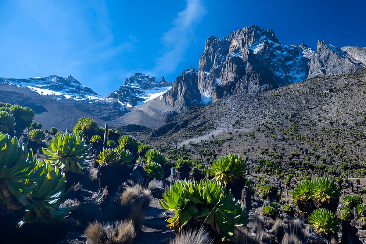 Maasai Dawns Safaris, Brightness of African Adventures  5 Days 4 Nights Mt Kenya Climbing Naromoru - Chogoria Route
