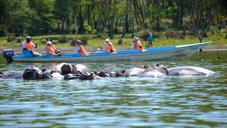 Maasai Dawns Safaris, Brightness of African Adventures  5 Days 4 Nights Nakuru – Naivasha & Masai Mara Safari